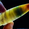 Ocean Wave Agate Scottsbluff Point - Image 2