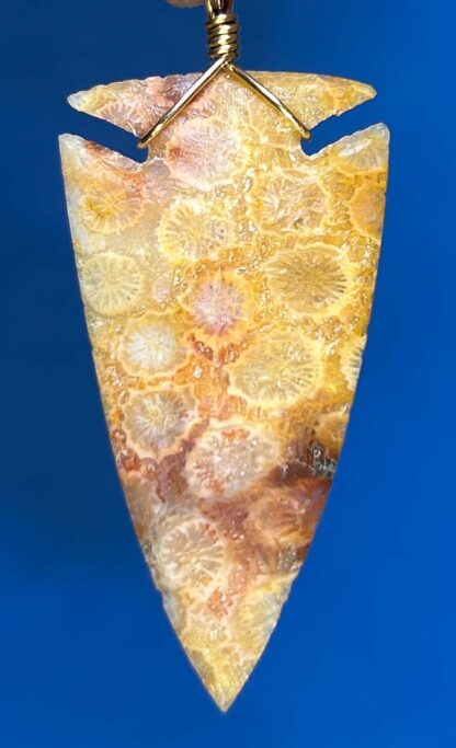 Indonesian Fossilized Coral Arrowhead Necklace