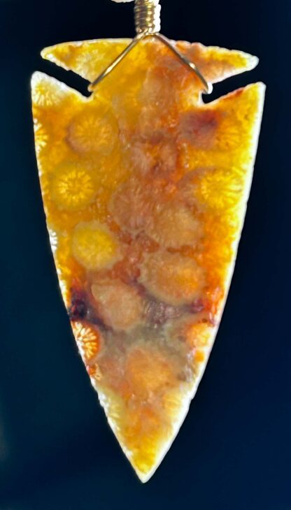 Indonesian Fossilized Coral Arrowhead Necklace - Image 2