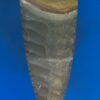 Polychrome Jasper Arrowhead Pendant - Image 2