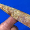 Indonesian Fossilized Coral See Thru Spearpoint