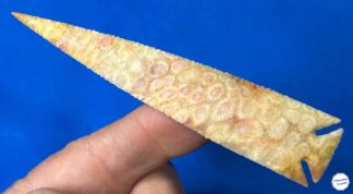 Indonesian Fossilized Coral See Thru Spearpoint