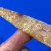 Indonesian Fossilized Coral See Thru Spearpoint - Image 2