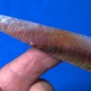 Ocean Wave Agate Wintu