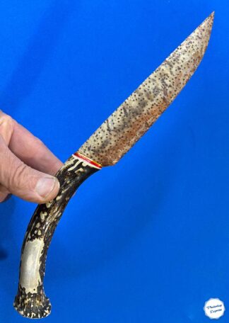 Petrified Palmwood Stone Knife