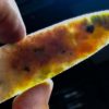 Indian Agate Dovetail - Image 2