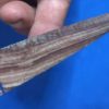 Monster Polychrome Jasper Cahokia - Image 2
