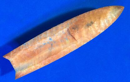 Agatized Coral Clovis Point