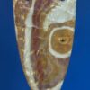 Bullseye Jasper Arrowhead Necklace - Image 2